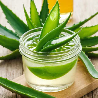 Gel d'aloe vera dans un pot en verre avec des feuilles d'aloe vera.