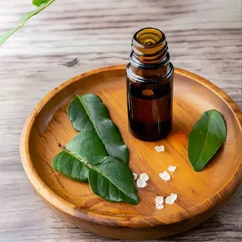 Un plateau en bois contenant une bouteille d'huile essentielle de camphre, accompagné de feuilles de camphre vertes et de petits cristaux blancs.