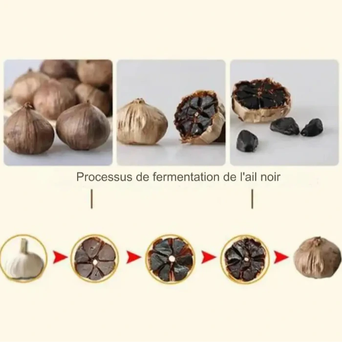 Processus de fermentation de l'ail noir, montrant les étapes du frais à l'ail noir complètement fermenté avec progression visuelle.