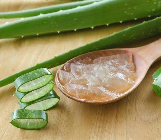 L'aloe vera ou Aloevera hydrate en profondeur et retient l'humidité. Ses propriétés apaisantes calment les irritations et inflammations cutanées.