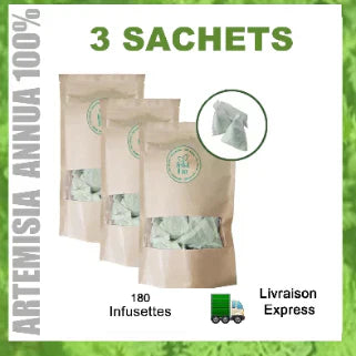 Thé Artemisia Annua L – 180 Sachets pour Vitalité!