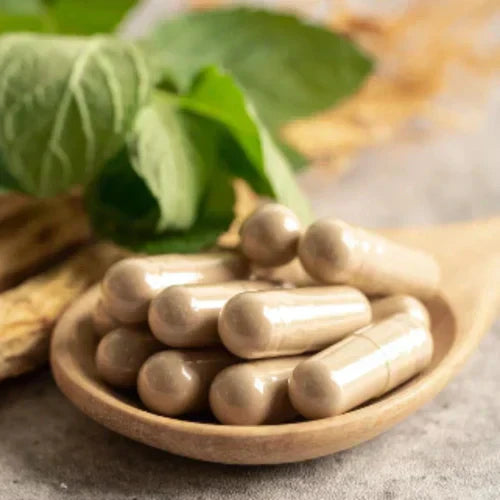 Capsules d'Astragale dans une cuillère en bois, avec des feuilles vertes en arrière-plan.