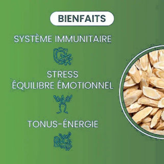 Bénéfices naturels pour le système immunitaire, le stress et l'énergie