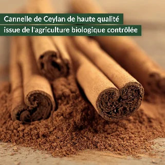 Bâtons de cannelle de Ceylan, poudre fine, couleur brune chaude, biologique, qualité élevée, arôme naturel intense.