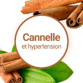 Image illustrant la cannelle et son lien avec l'hypertension, entourée de bâtons de cannelle et de feuilles vertes.