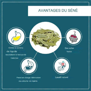 Principaux avantages du séné : aide à la digestion, activité antioxydante, effets laxatifs, propriétés anti-inflammatoires.