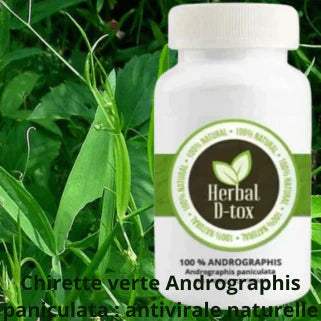 Bouteille "Herbal D-tox" avec des feuilles vertes, indiquant des propriétés antivirales naturelles.