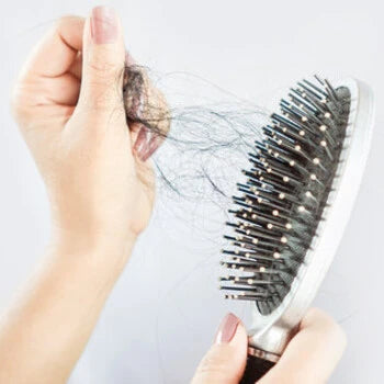 Mains tenant une brosse à cheveux avec des cheveux emmêlés.