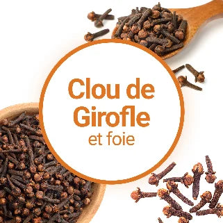 Clous de girofle présentés dans une cuillère et un bol en bois, avec le texte « Clou de Girofle et foie » au centre.