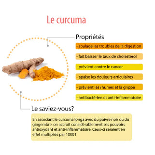 Schéma explicatif illustrant la racine de curcuma et ses différents bienfaits pour la santé.