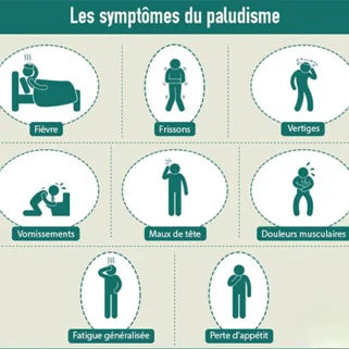 les principaux symptômes du paludisme : fièvre, frissons, vertiges,vomissements de tête et fatigue