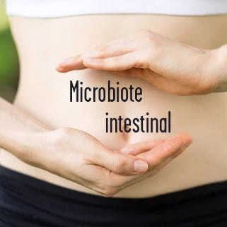 Mains protégeant le ventre, illustrant l'importance du microbiote intestinal humain