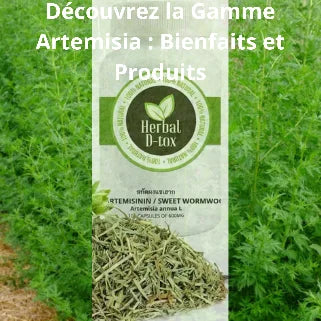 Découvrez les bienfaits des produits Artemisia