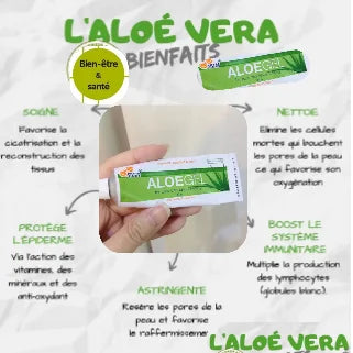 Propriétés bénéfiques de l'aloe vera comme soulagement, hydratation et renforcement du système.