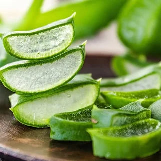 Des tranches d'aloe vera fraîches brillent sur une planche en bois sombre.