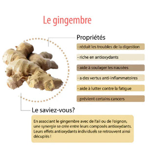 Gingembre : propriétés digestives, antioxydantes, anti-inflammatoires, toniques, préventives.