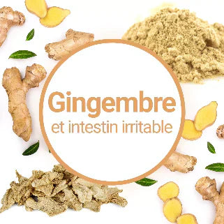 Le gingembre et ses bienfaits pour soulager le syndrome de l’intestin irritable