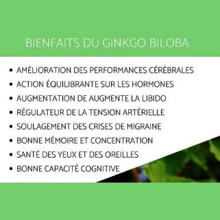 ginkgo biloba : Amélioration cérébrale, équilibre hormonal, libido, tension artérielle, migraine, mémoire, concentration.