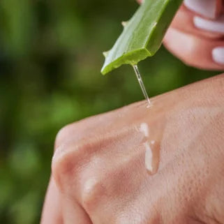 Goutte d'aloe vera appliquée sur la main pour hydratation