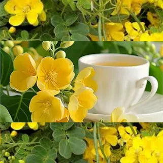 Une tasse de tisane à côté de fleurs de séné jaunes et vibrantes.