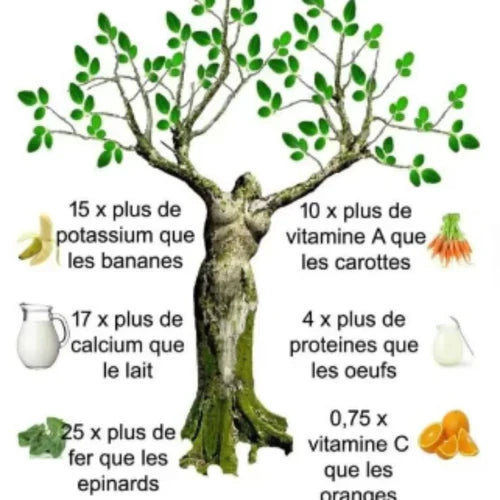 Infographie comparant les nutriments du moringa avec ceux des bananes, carottes, lait, œufs, épinards, et oranges.