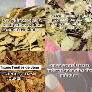 Tisane de feuilles de séné, infusion pour améliorer le transit et réduire les ballonnements rapidement