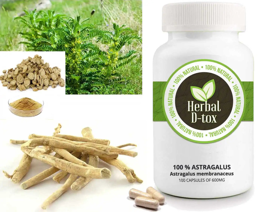 Herbal D-tox : 100% Astragalus, une solution naturelle pour renforcer votre immunité et vitalité.