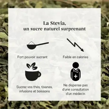 La Stevia : édulcorant naturel puissant à utiliser sans conseil médical