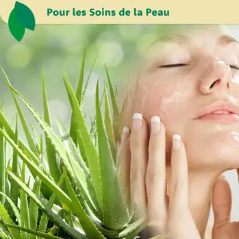 Gel d'aloe vera appliqué sur peau pour hydratation naturelle