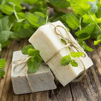 Le savon savon aux herbes Thai à l'extrait de menthe présenté sur un morceau de bois avec des feuilles vertes autour.