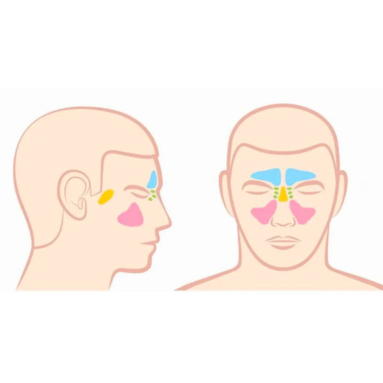 Congestion Respiratoire et Autres