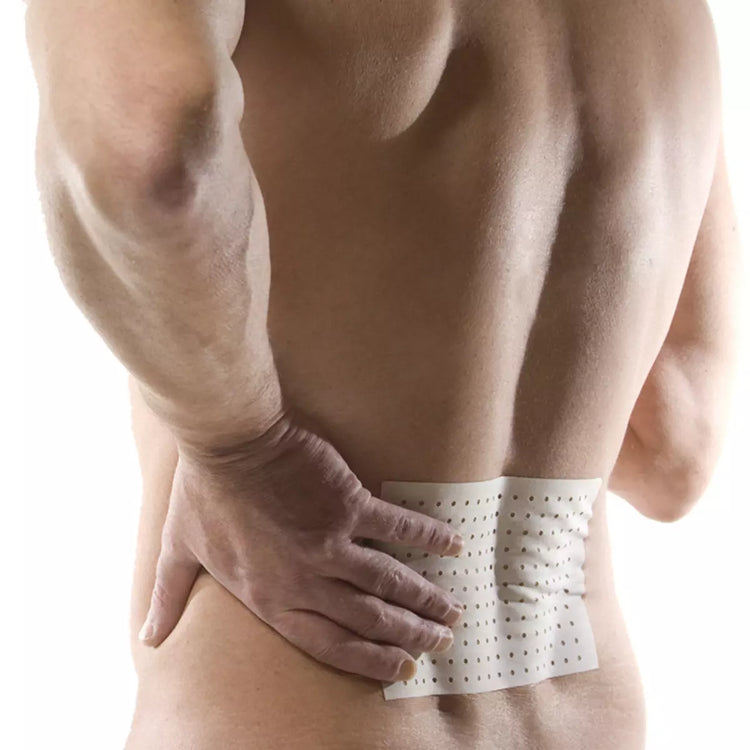 Back and Lower Back Pain
