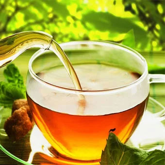 Infusi e tisane dimagranti: alleati naturali per il tuo programma dimagrante.
