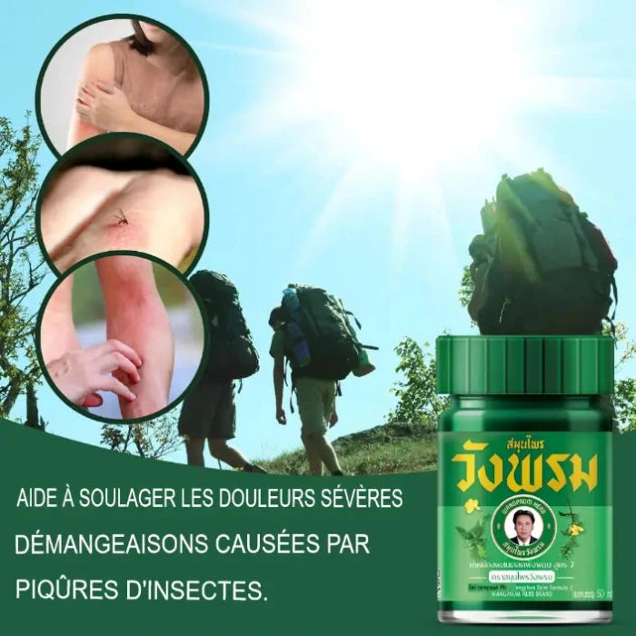 Publicité pour un produit naturel contre les démangeaisons. Personne admirant une montagne. "Soulagement naturel des démangeaisons." Icônes : instantané, sans produits chimiques.