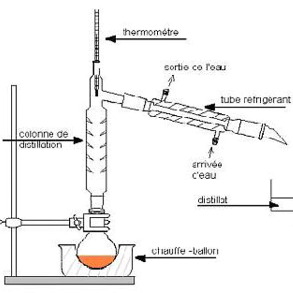 Distilation aqueuse Annona Muricata (Corossol / Graviola) - Extrait liquide anticancer 