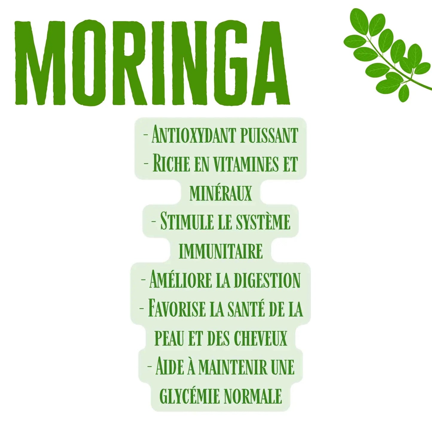 Les Bienfaits de Moringa (Moringa Oleifera) - Boite de 100 capsules de 500mg - Herbal D-tox
