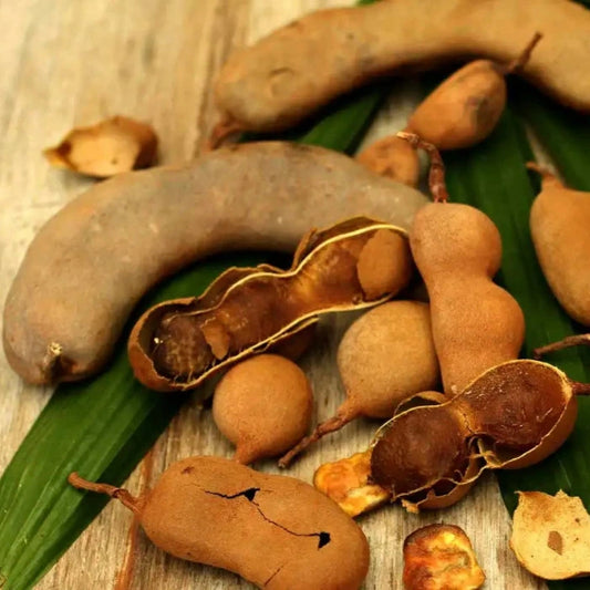 fruits exotiques Tamarin avec leur cosses,