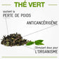Les bienfaits du Thé vert organique (Camellia sinensis) par Herbal D-tox