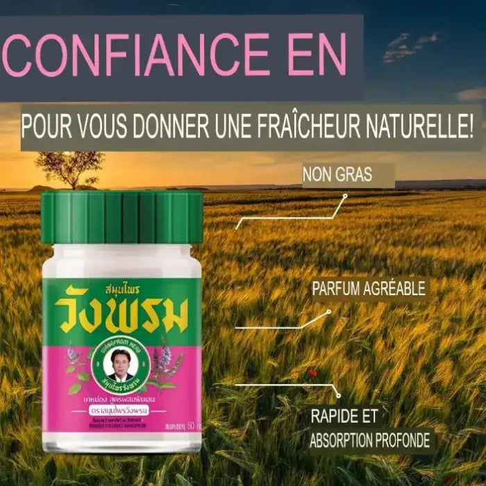 Publicité pour le Baume Essentiel de Wangprom Herb Brand. Slogan : "TRUST IN TO GIVE YOU NATURAL FRESHNESS!" avec "NON-GREASY," "PLEASANT SCENT," et "FAST AND DEEP ABSORPTION." Fond avec un champ et un coucher de soleil.