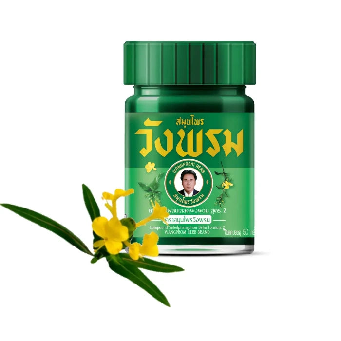 Problèmes Cutanés et Réparation de la Peau